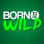 Born To Be Wild June 1 2025
